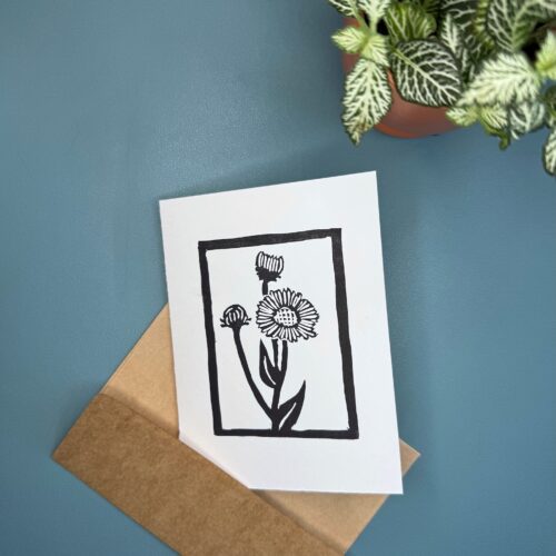 A black ink print of an Aspen Daisy flower on a white card with a brown envelope is sitting on a green background with a plant