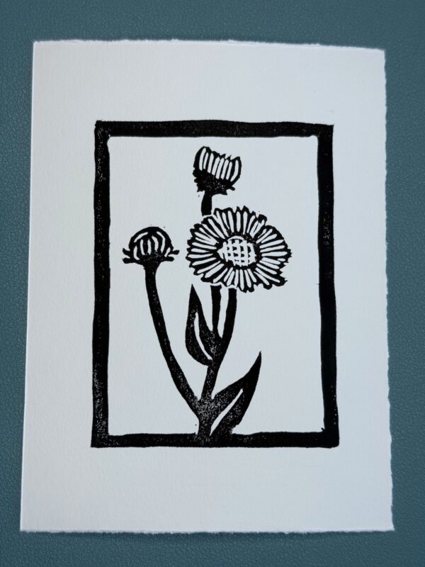 A black ink print of an aspen daisy flower on a white card on a green background.