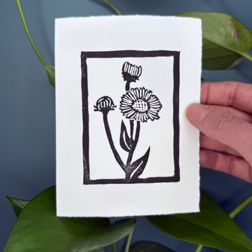 A black ink print of an aspen daisy flower on a white card is held by a hand above a green background with a plant