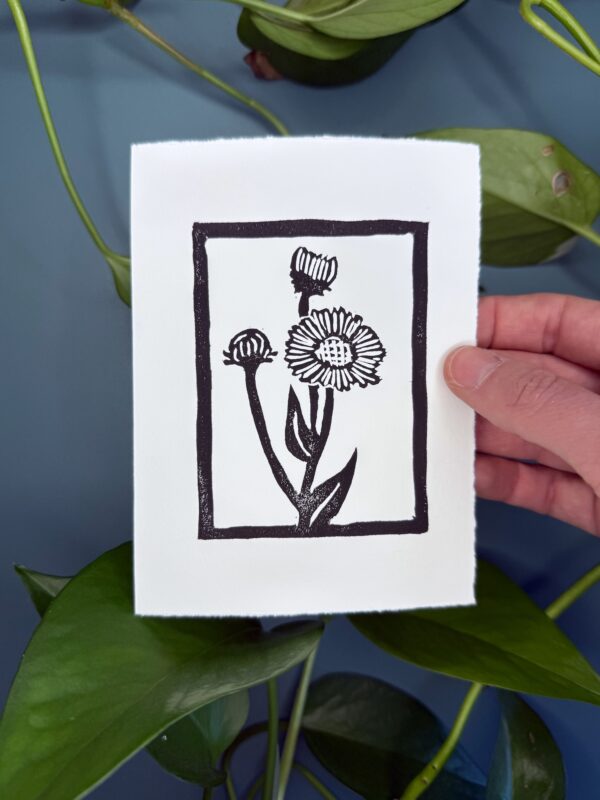 A black ink print of an aspen daisy flower on a white card is held by a hand above a green background with a plant