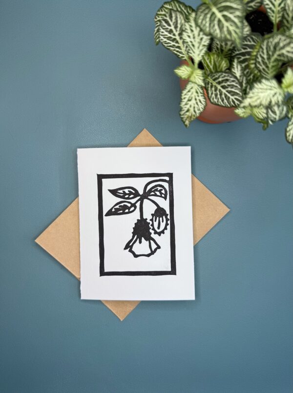 A black ink print of a Clammy Groundcherry flower on a white card with a brown envelope is held by a hand above a green background with a plant