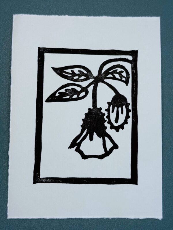 A black ink print of a clammy groundcherry flower on a white card on a green background.