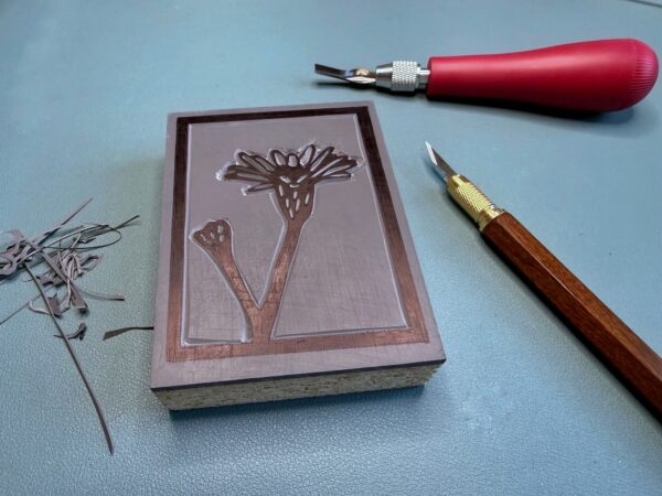 Marsh Aster carving 1 A red and brown carving tool sit beside a partially carved printing block with a Marsh Aster flower drawn on it on a green background.