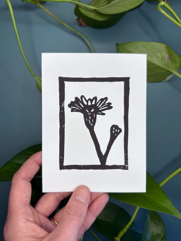 Marsh Aster print 1 A black ink print of a marsh aster flower on a white card is held by a hand above a green background with a plant