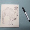 Camel lino transfer A camel image on a piece of linoleum with a Sharpie pen on a green background.